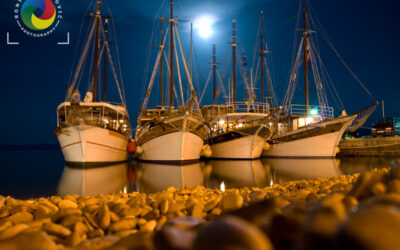 Parked boats under moonlight